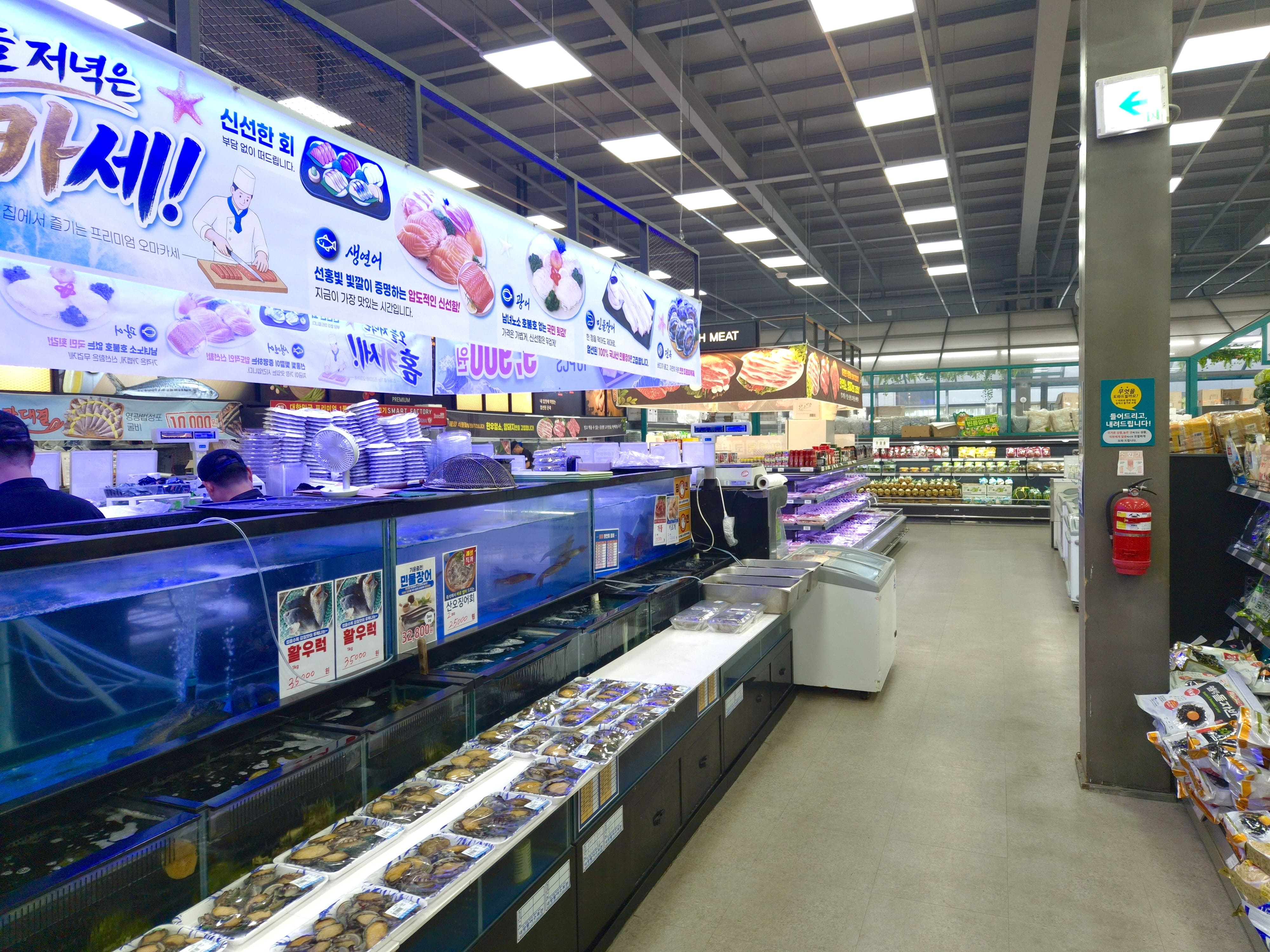 Y-식자재마트